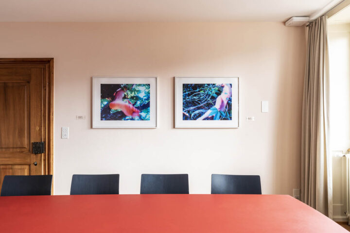 Im Hofblick an der Wand hängen zwei Videostills von Pipilotti Rist aus dem Jahr 2006.